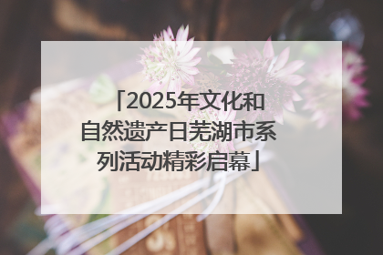 2025年文化和自然遗产日芜湖市系列活动精彩启幕