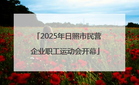 2025年日照市民营企业职工运动会开幕