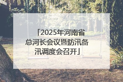 2025年河南省总河长会议暨防汛备汛调度会召开