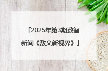 2025年第3期数智新闻《数文新视界》