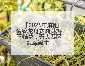 2025年麻阳传统龙舟赛圆满落下帷幕，五大赛区冠军诞生