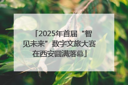 2025年首届“智见未来”数字文旅大赛在西安圆满落幕