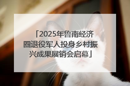 2025年鲁南经济圈退役军人投身乡村振兴成果展销会启幕