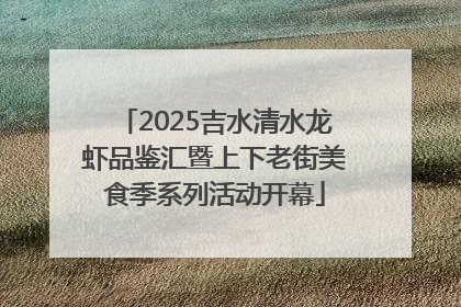 2025吉水清水龙虾品鉴汇暨上下老街美食季系列活动开幕