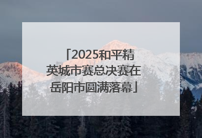 2025和平精英城市赛总决赛在岳阳市圆满落幕
