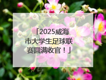 2025威海市大学生足球联赛圆满收官！