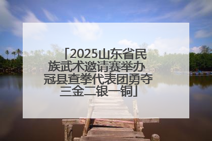 2025山东省民族武术邀请赛举办 冠县查拳代表团勇夺三金二银一铜