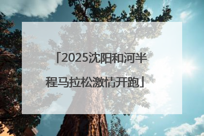 2025沈阳和河半程马拉松激情开跑
