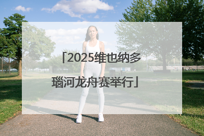 2025维也纳多瑙河龙舟赛举行