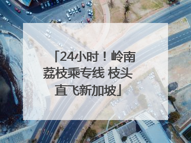 24小时！岭南荔枝乘专线 枝头直飞新加坡