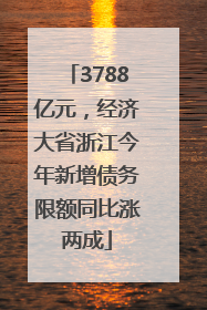 3788亿元，经济大省浙江今年新增债务限额同比涨两成