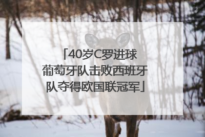40岁C罗进球 葡萄牙队击败西班牙队夺得欧国联冠军