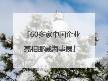 60多家中国企业亮相挪威海事展