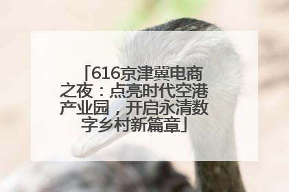 616京津冀电商之夜：点亮时代空港产业园，开启永清数字乡村新篇章