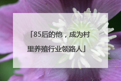 85后的他，成为村里养殖行业领路人