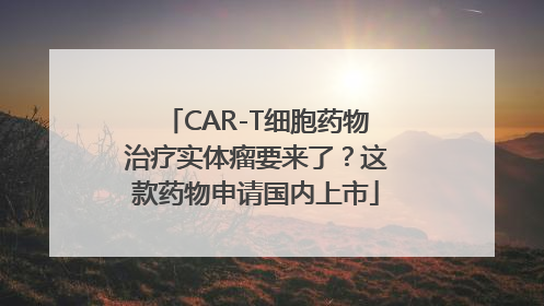 CAR-T细胞药物治疗实体瘤要来了？这款药物申请国内上市