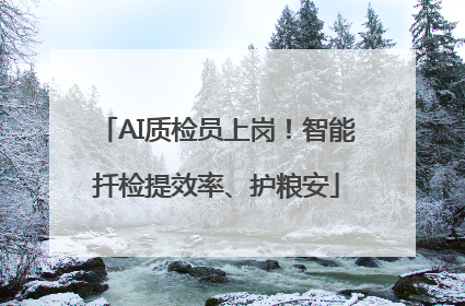AI质检员上岗！智能扦检提效率、护粮安