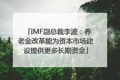 IMF副总裁李波：养老金改革能为资本市场建设提供更多长期资金