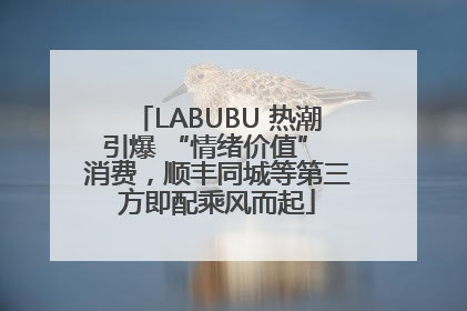 LABUBU 热潮引爆 “情绪价值” 消费，顺丰同城等第三方即配乘风而起