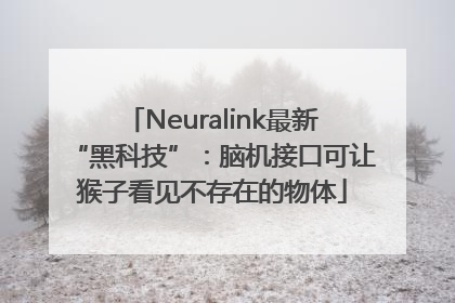 Neuralink最新“黑科技”：脑机接口可让猴子看见不存在的物体