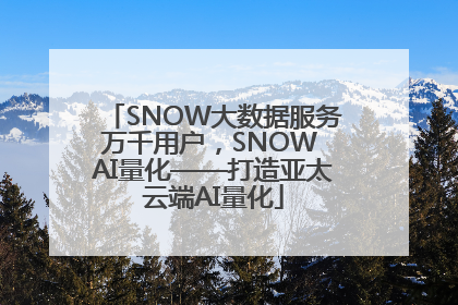 SNOW大数据服务万千用户，SNOW AI量化——打造亚太云端AI量化