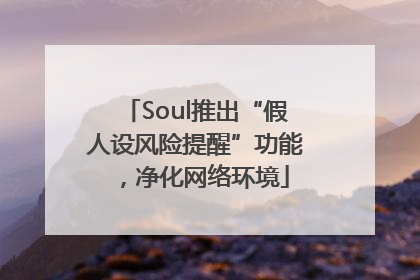 Soul推出“假人设风险提醒”功能，净化网络环境