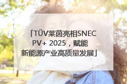 TÜV莱茵亮相SNEC PV+ 2025，赋能新能源产业高质量发展